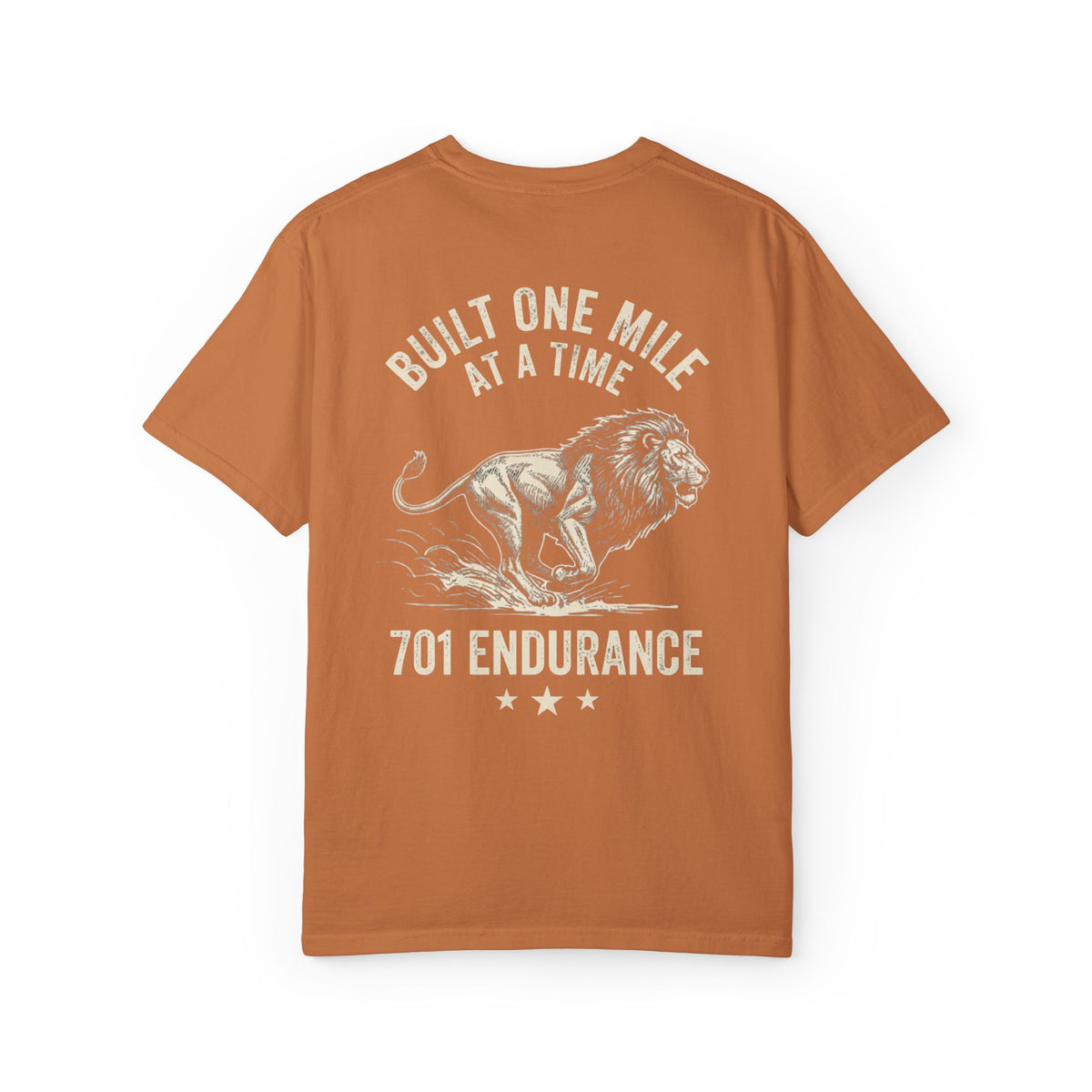 701 Endurance Coaching T-Shirt