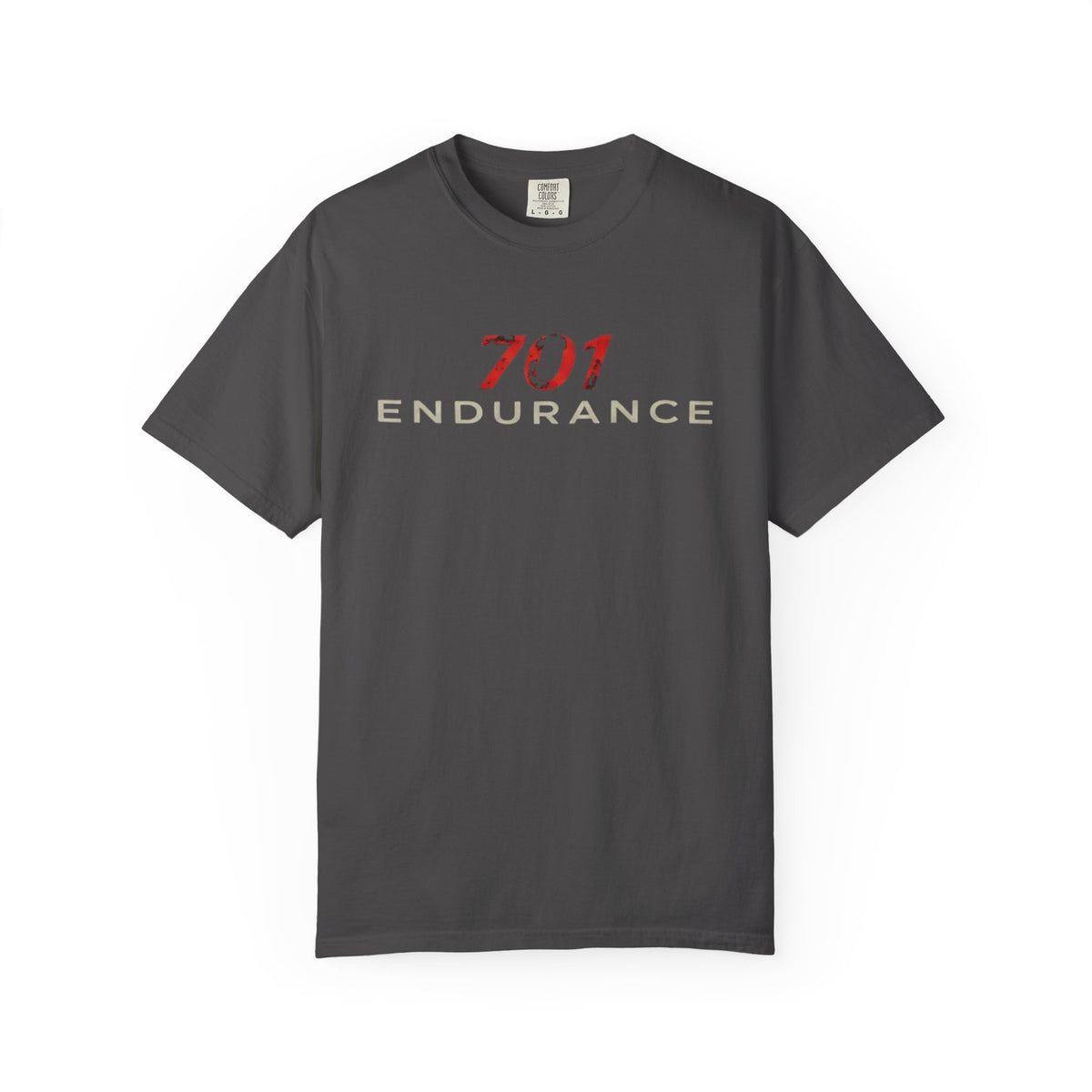 701 Endurance Soar Running Graphic T-Shirt