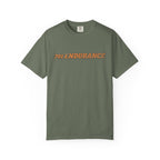 701 Endurance Bull
