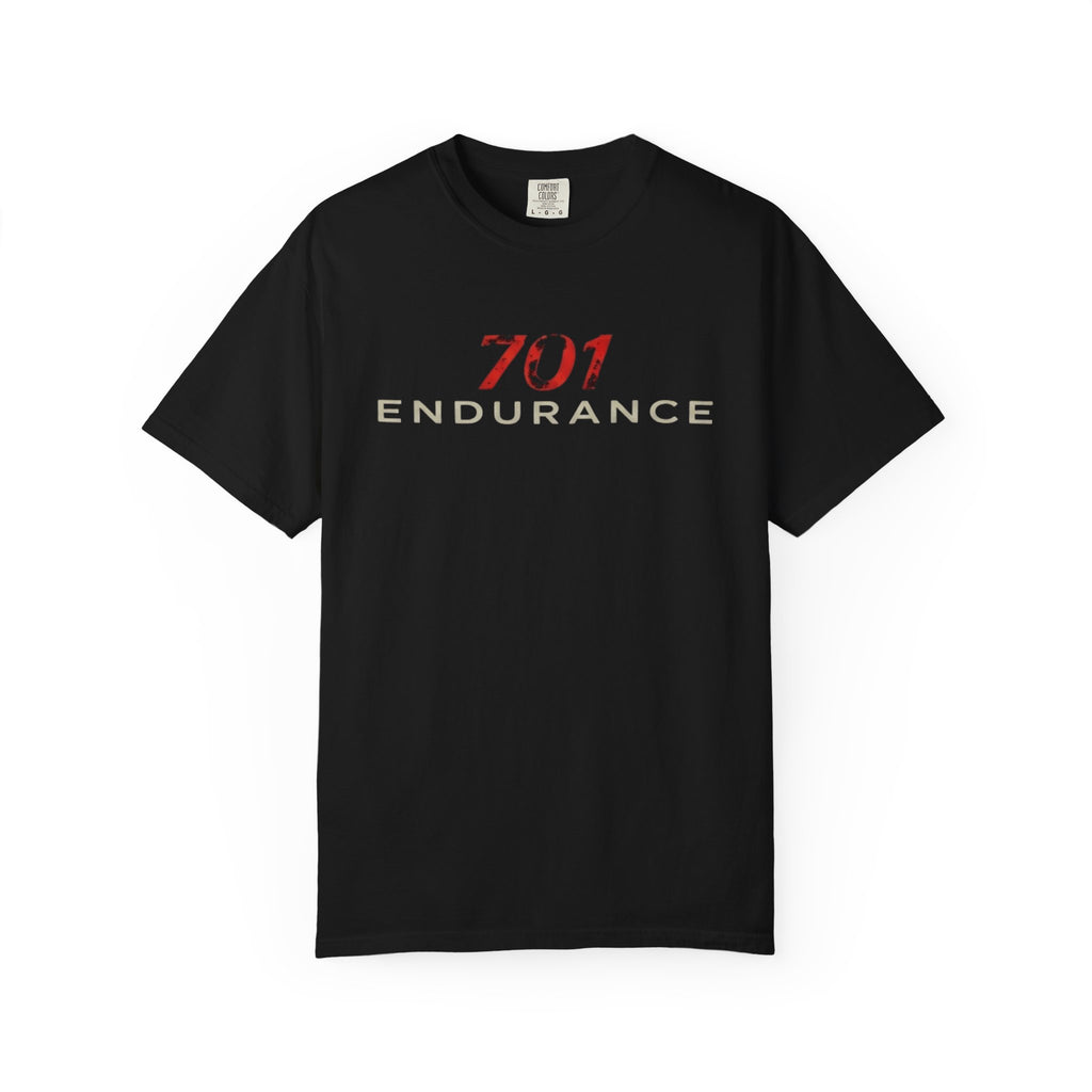 701 Endurance Soar Running Graphic T-Shirt